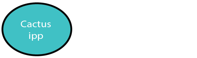 CACTUS Power International Limited